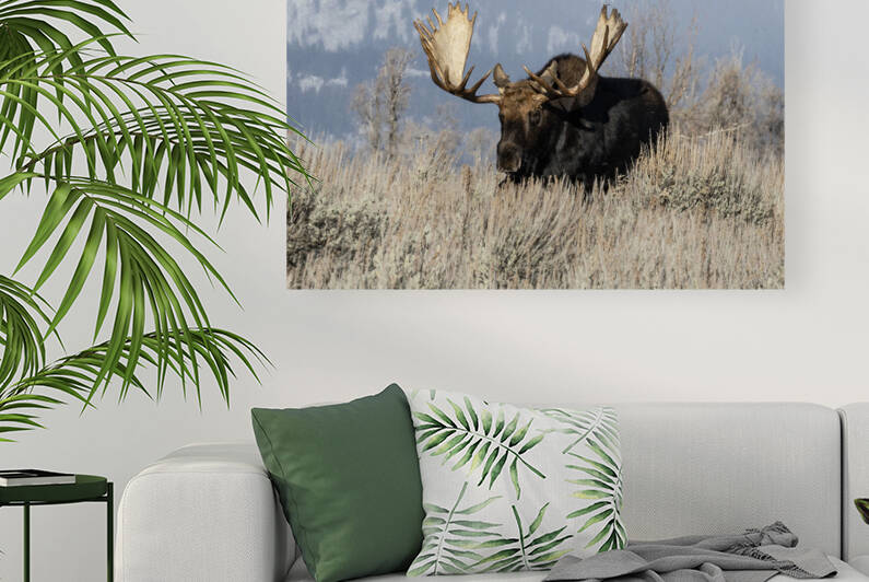 DSC 1165 20x30 by Phillip A Snider Photography