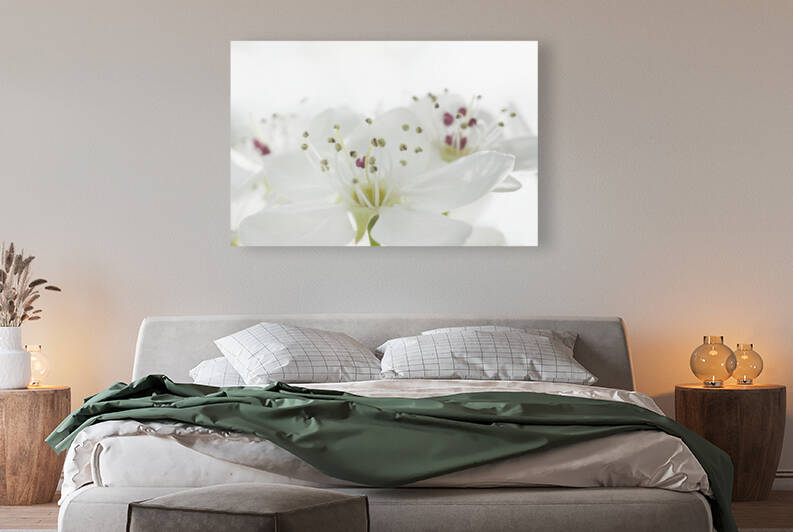 Bradford Pear Flowers by Iris H Richardson