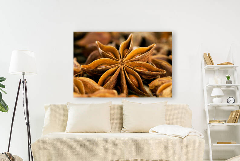 Anise Star Illicuim verum by Iris H Richardson