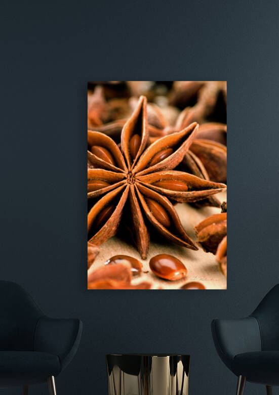 Anis Star by Iris H Richardson