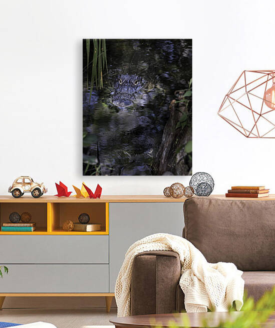 20220216  DSC9762 Edit 20x16 large 8bit by Phillip A Snider Photography