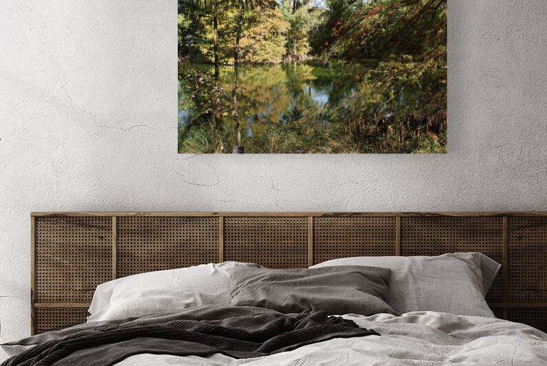 20201111115821 IMG 9996 1 by Deni Remo