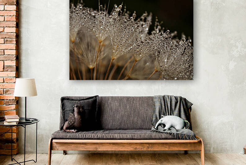 Dandelion with Morning Dew by Iris H Richardson