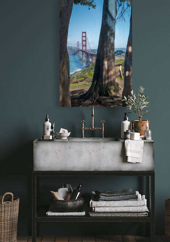 Golden Gate Bridge and tree trunks by Steve Heap