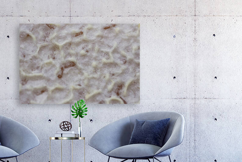 Capped Honey Comb by Iris H Richardson