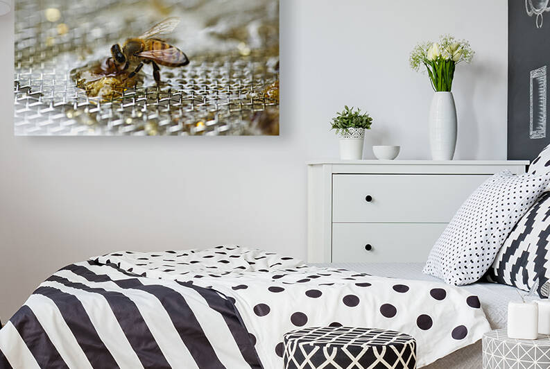 Single Honeybee on Honey by Iris H Richardson