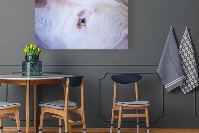 Bully Girl Looking Up by Iris H Richardson