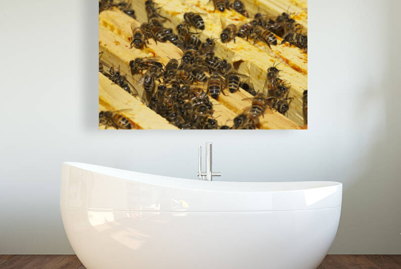 Honey Bees on Hive Frames by Iris H Richardson