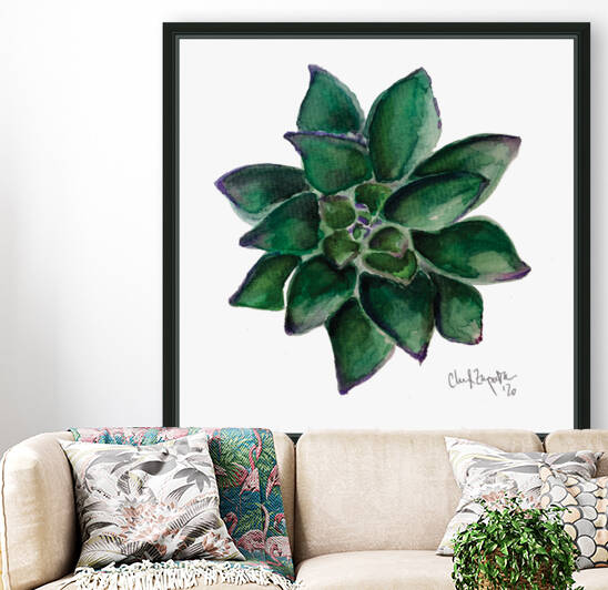 Succulent Watercolor  by Cheryl Zapata