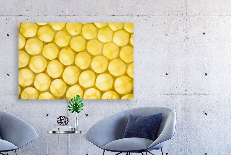 Empty Organic Bee Honeycomb by Iris H Richardson