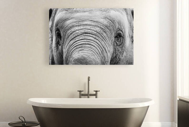 Looking at You by Patsila