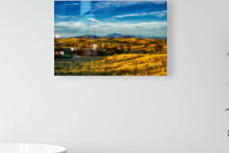 North view from Las Cienegas by Eduardo Palazuelos