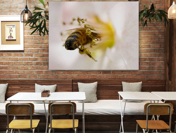 Honeybee Head Deep In Flower Stamen by Iris H Richardson