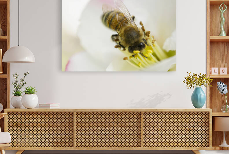 Honeybee Whole Body Head to Left by Iris H Richardson