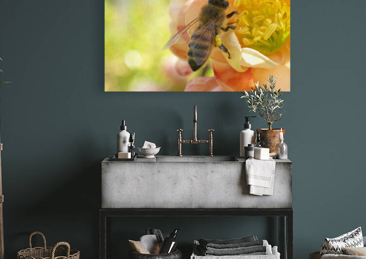 Honeybee on Peach  Colored Quince Flower by Iris H Richardson