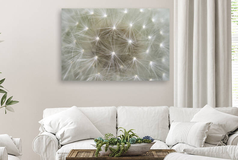 Dandelion Puffball Superpowers by Iris H Richardson