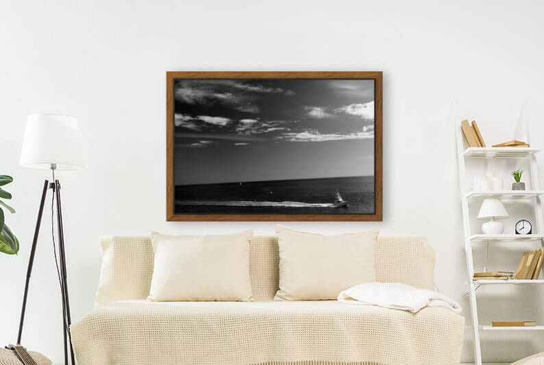 BW Cruising Speed in the Golden Hour 2 of 3 ZOOM The Sailfish Tournament and Derby Collection Singer Island West Palm Beach Florida by 360 Studios