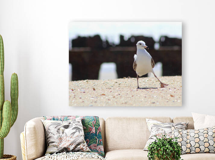 Windy Day on the Beach by The NC Geek