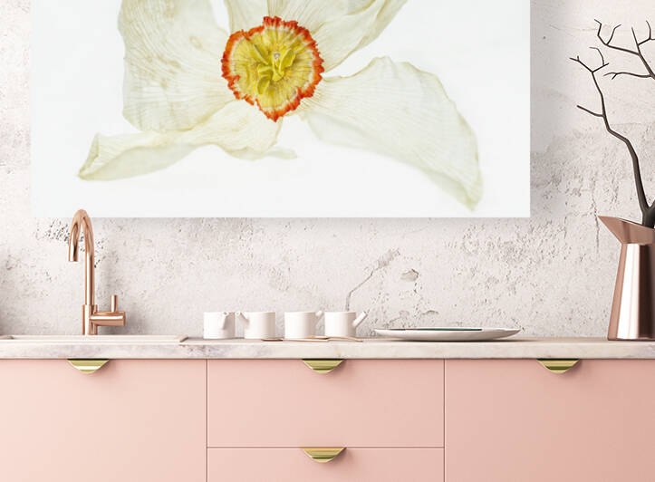 Dried Poets Daffodile 1 by Iris H Richardson