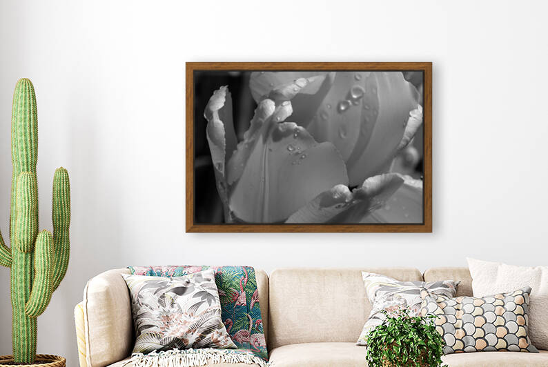 BW Extreme Closeup Tulips of the Netherlands 26 in the Art in Flowers Special Collection of William Robert Stanek for the Dutch Tulip Mania Series by 360 Studios