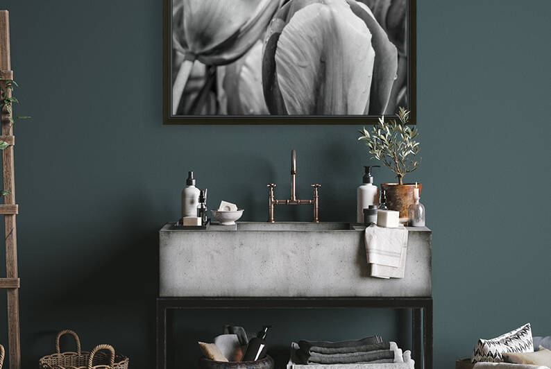 BW Extreme Closeup Tulips of the Netherlands 24 in the Art in Flowers Special Collection of William Robert Stanek for the Dutch Tulip Mania Series by 360 Studios