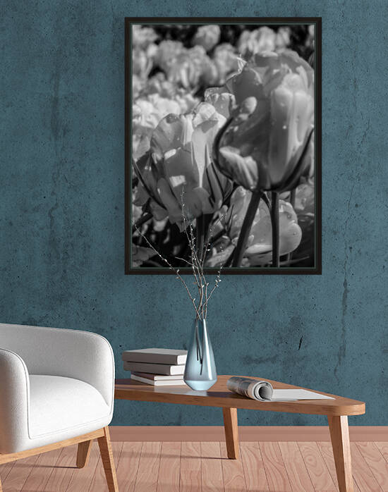 BW Beautiful Spring Tulips from Keukenhof in Holland Long Exposure 12 of 23 by 360 Studios