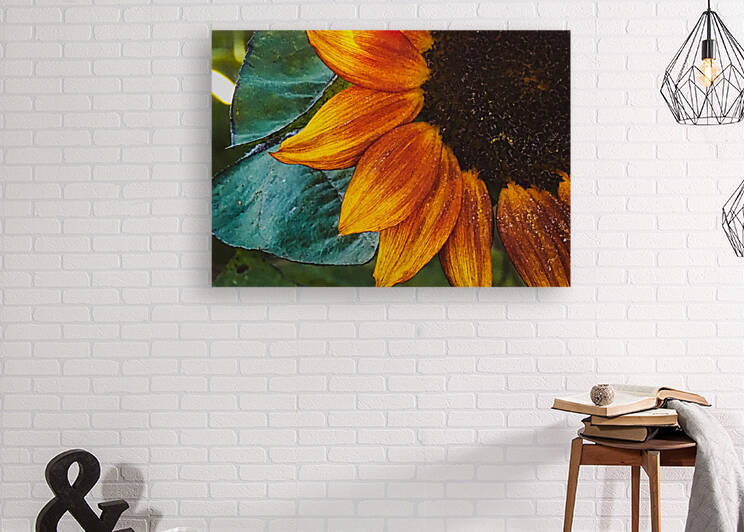 fall petals by Lisa Drew