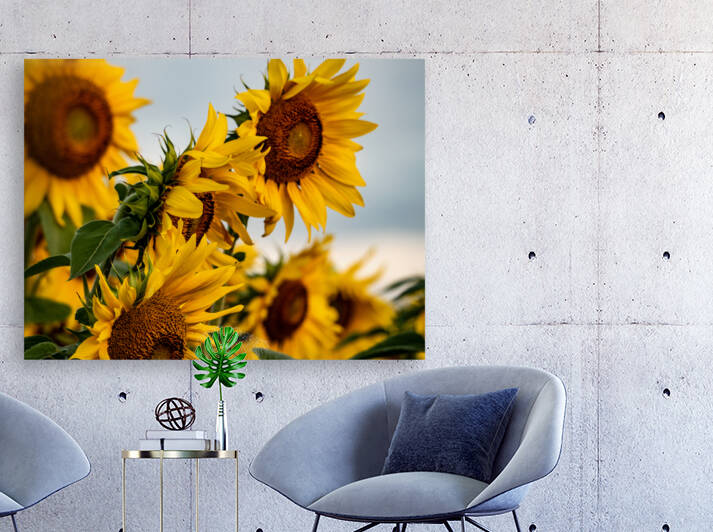 dancing in the sun by Lisa Drew