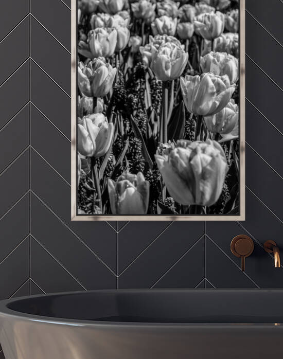 BW Spring Tulips from Keukenhof in the Netherlands Long Exposure 8 of 23 by 360 Studios
