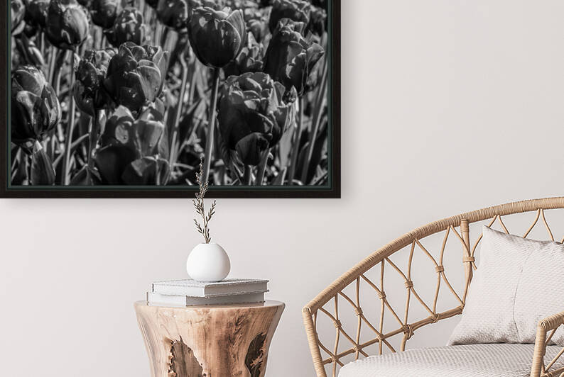 BW Spring Tulips from Keukenhof in the Netherlands Long Exposure 6 of 23 by 360 Studios