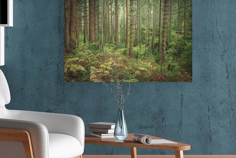 Autum beauty by Louis Ruth Photography