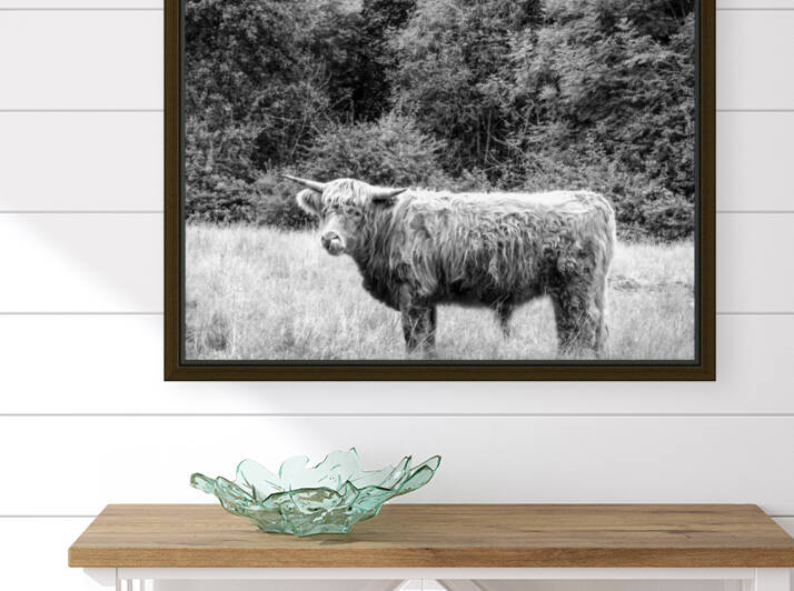 BW Hairy Coo Scottish Highlands by 360 Studios