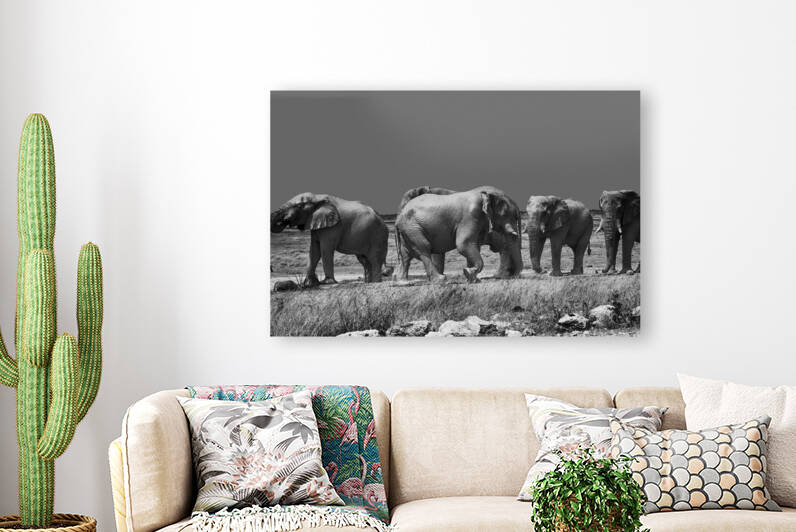 Namibian Elephants by Milton Cogheil