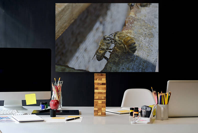 Two Workerbees  by Iris H Richardson