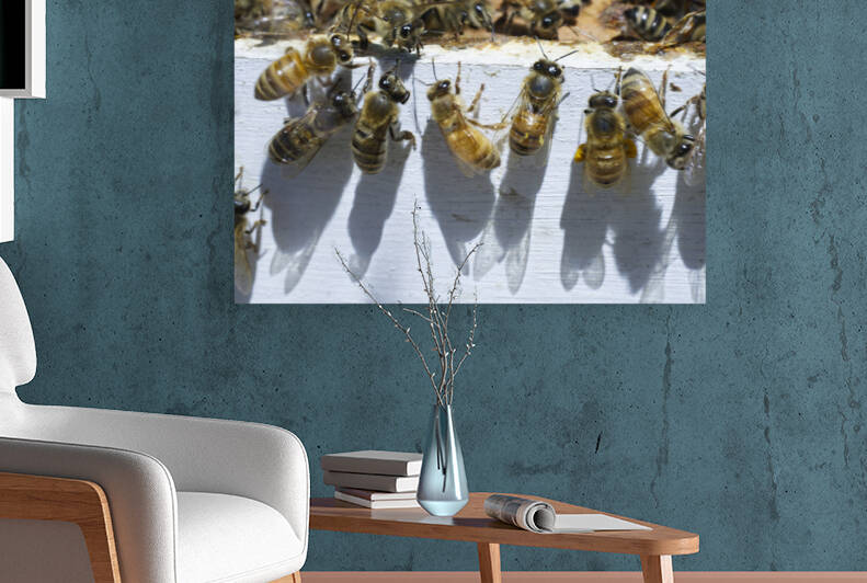 Worker Bees Moving Into New Hive by Iris H Richardson