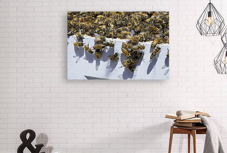 Honeybee Hive on a Summer Day  by Iris H Richardson