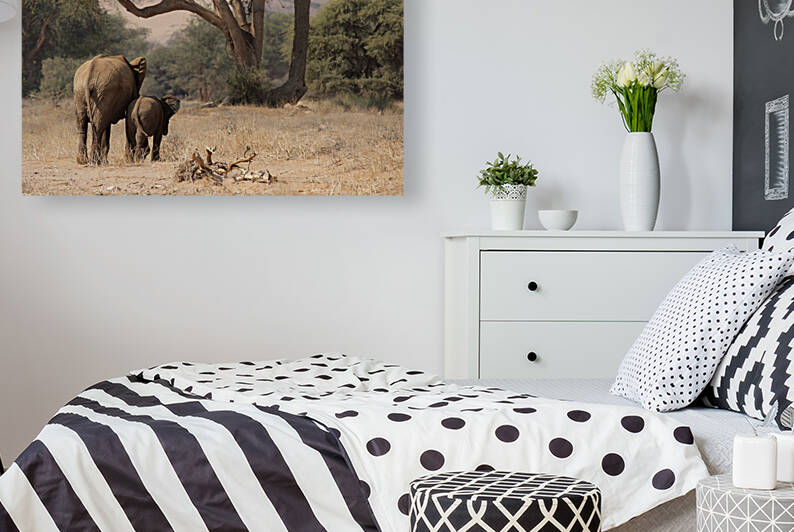 Desert Elephants by DirkR