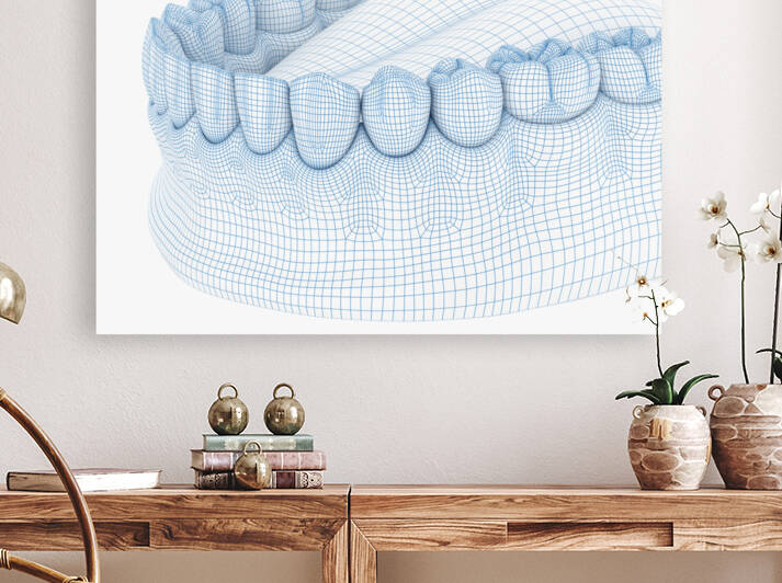 Morphology of mandibular human gum and teeth by Alex Mit