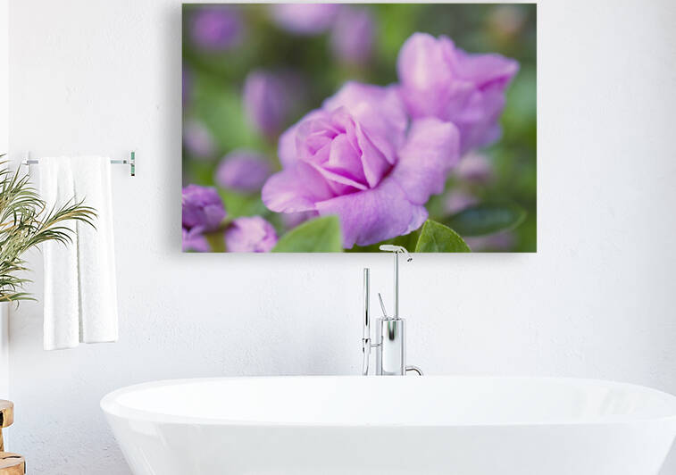 Pink Double Azalea with Green by Iris H Richardson