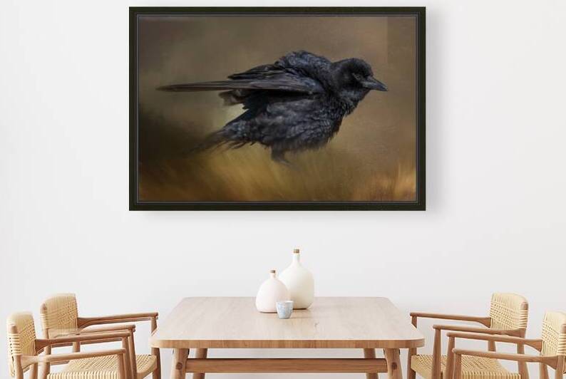 Ruffled by Michel Soucy