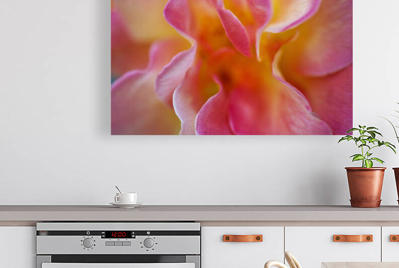 Pink and Yellow Rose Abstract Macro by Iris H Richardson