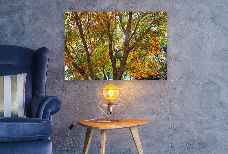 Adelaide Autumn HDR by MrSmithPhotography