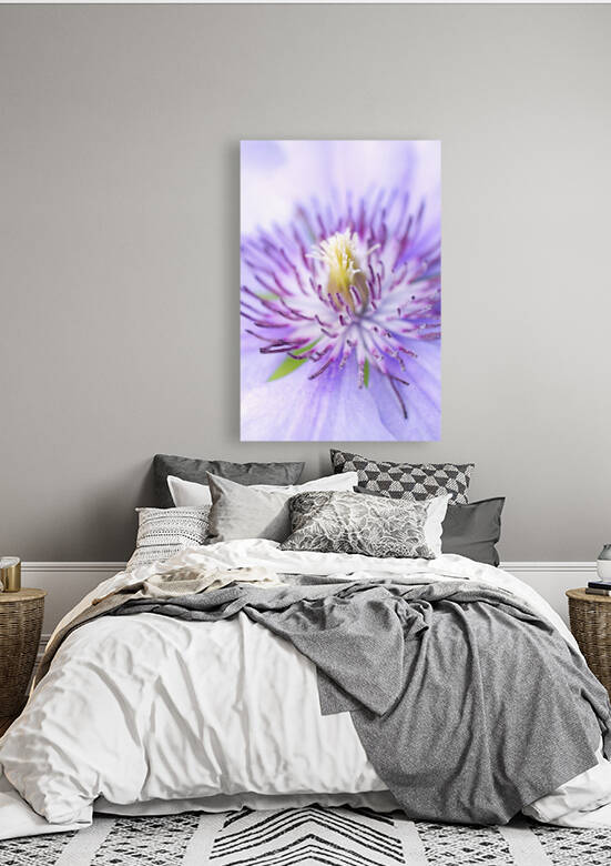 Purple Clementine Steman Macro  by Iris H Richardson