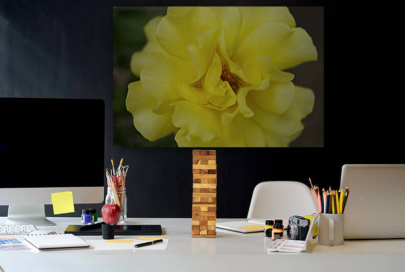 Yellow Rose Macro by Iris H Richardson