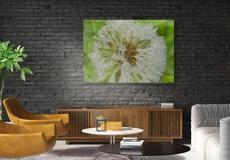 Dandelion in Pearls by Iris H Richardson