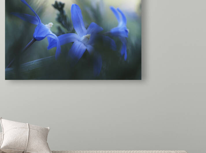 Broken by Suzanne Bonin