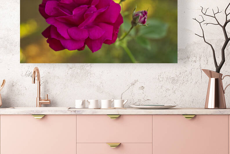 Magenta Rose with Sun Pattern by Iris H Richardson