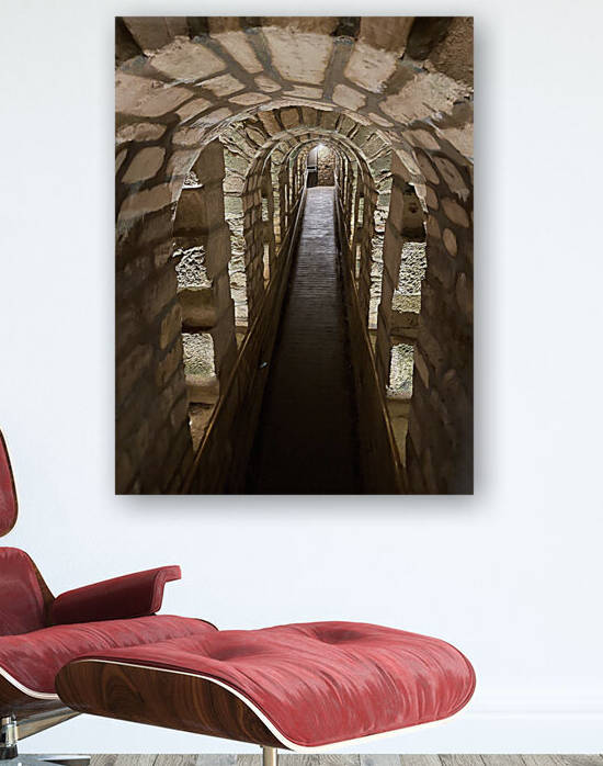 67A6056C 396A 4525 A549 736CEDDCB009 by erin insalaco