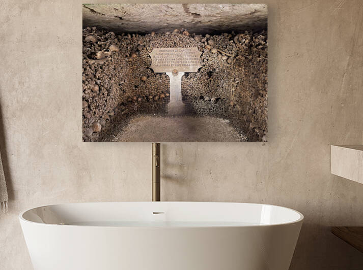 8FB5FE2C D77E 4750 B0BF 48DF264815C0 by erin insalaco