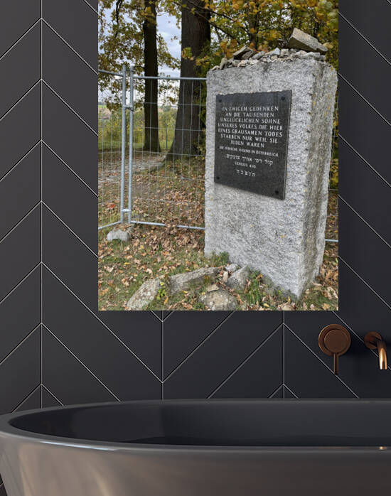 2BE03DA7 48E2 4617 9203 5B24AE5CC2E2 by erin insalaco